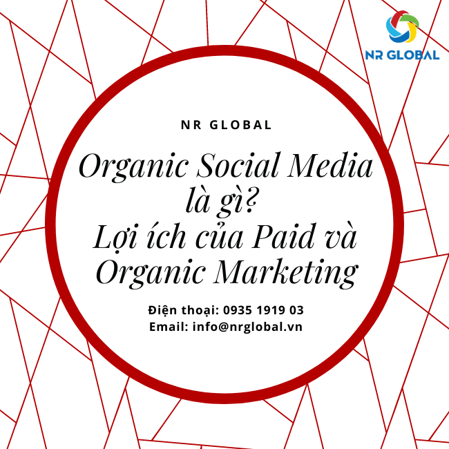 ORGANIC SOCIAL MEDIA LÀ GÌ? LỢI ÍCH CỦA PAID VÀ ORGANIC MARKETING